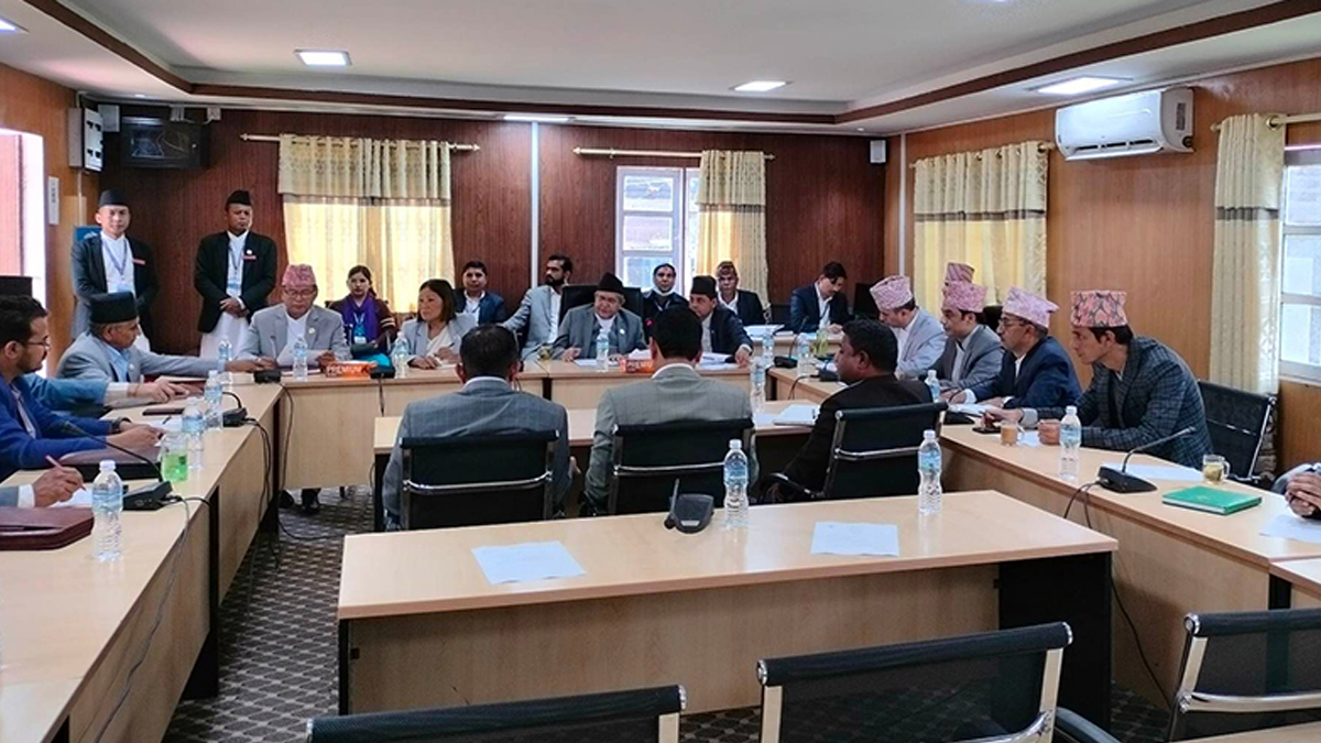 कार्यव्यवस्था व्यवस्था परामर्श समितिको बैठक सुरु